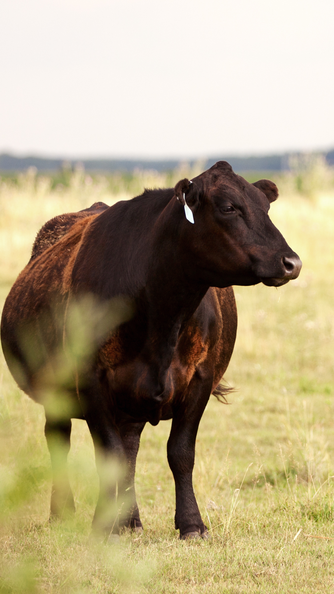 Feeding without a plan costs more than you think